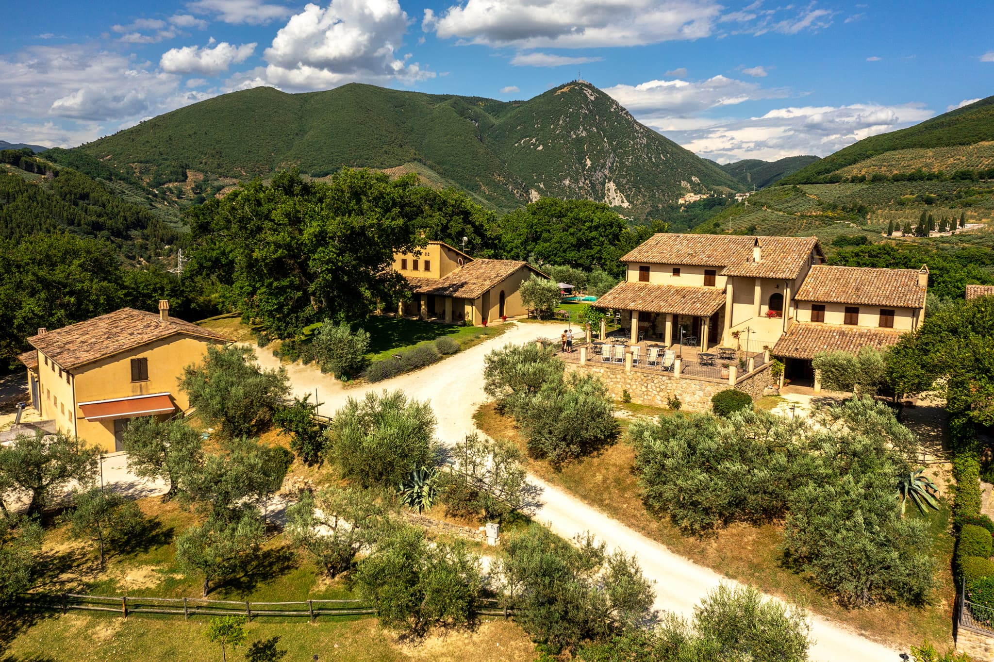 Cyprus Olive Grove Farmstay